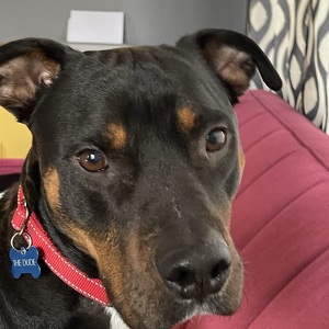 Fundraising Page: Mika Weaver